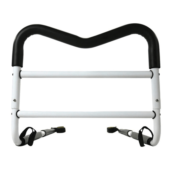 Affinity Grab Handle / Bed Rail